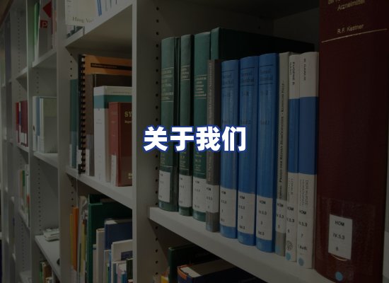 专业团队